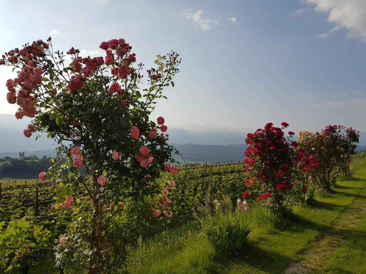 DAS MATSCHER Residence&Garden Hotel Appiano Sulla Strada Del Vino Exterior foto