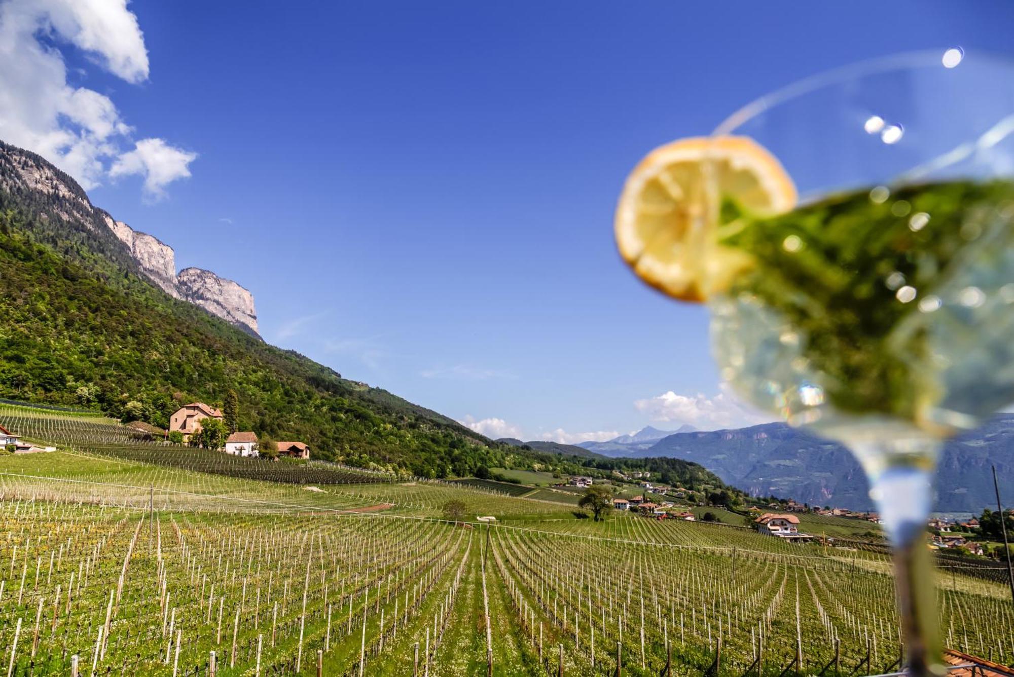DAS MATSCHER Residence&Garden Hotel Appiano Sulla Strada Del Vino Exterior foto
