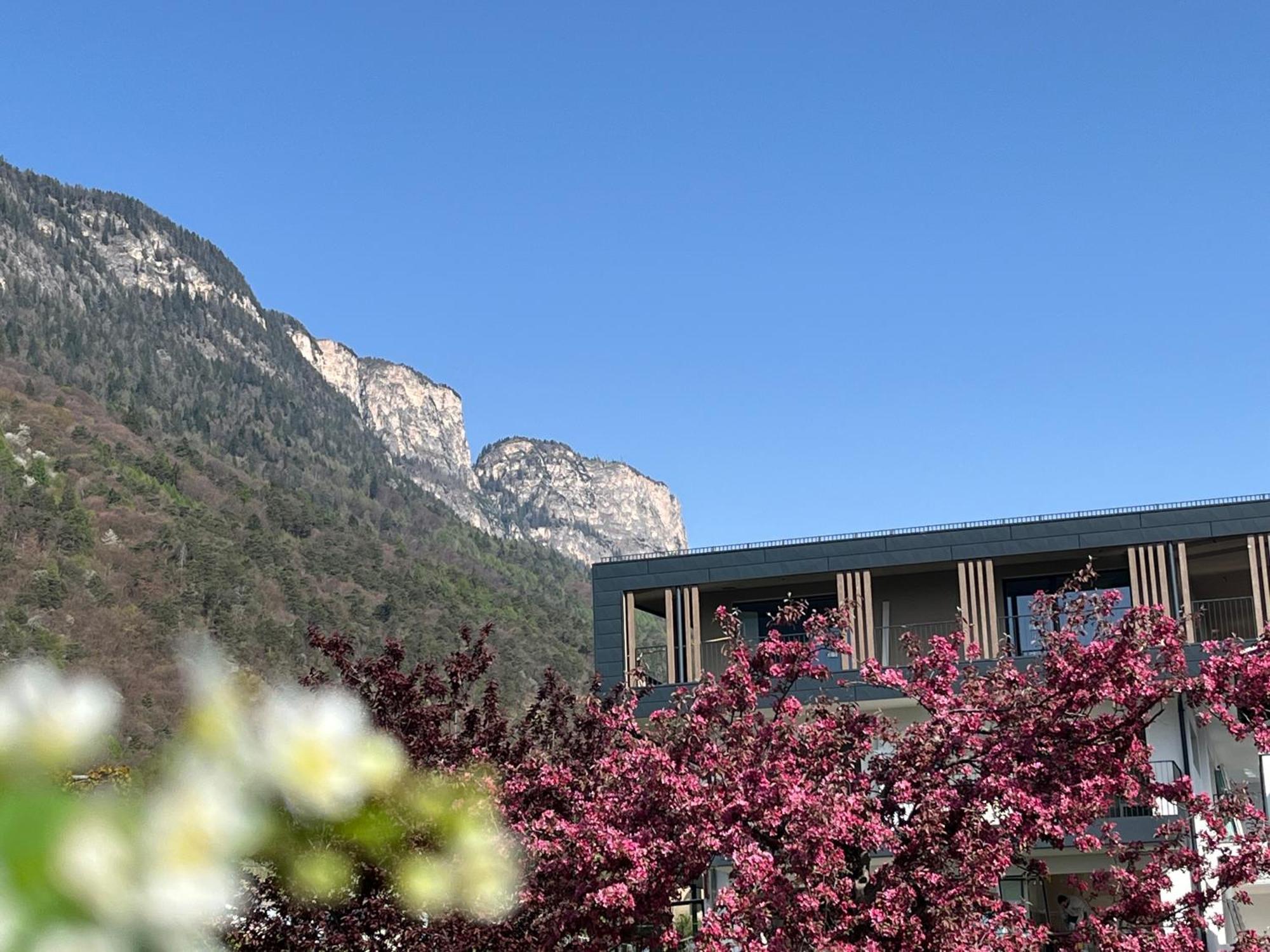 DAS MATSCHER Residence&Garden Hotel Appiano Sulla Strada Del Vino Exterior foto