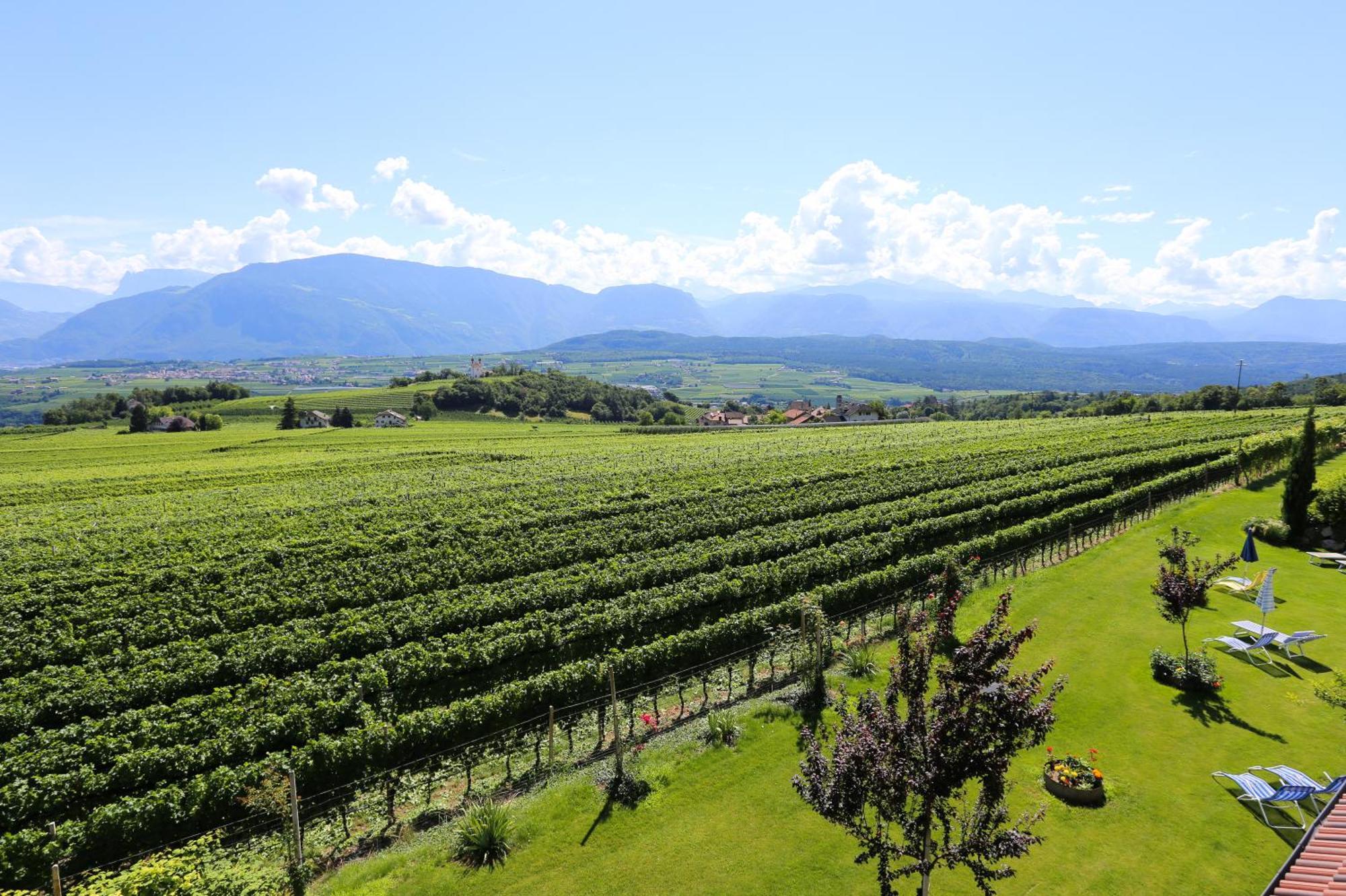 DAS MATSCHER Residence&Garden Hotel Appiano Sulla Strada Del Vino Exterior foto